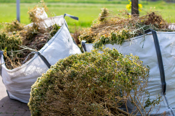  St Johns, AZ Junk Removal Pros